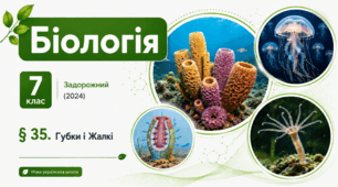 Губки і Жалкі. Презентація, інфографіка, робочий аркуш