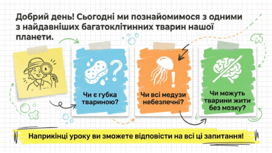 09025s90-11b0-389x219.png
