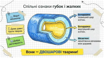 09025s96-2895-412x232.png