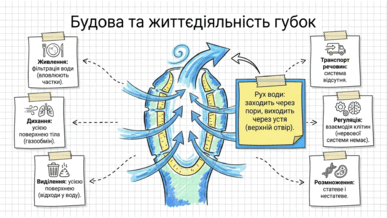 09025s97-f9e5-387x218.png
