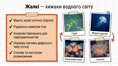 09025s99-9689-410x231.png