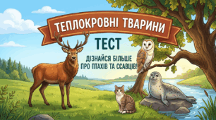 Теплокровні тварини
