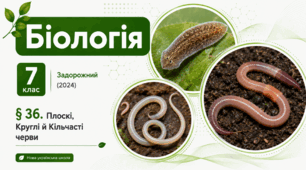 Плоскі, Круглі й Кільчасті черви.Презентація, інфографіка, робочий аркуш