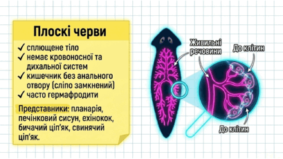 09025sdz-01cc-409x230.png