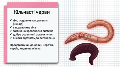 09025se2-2de0-392x221.png