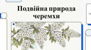 Черемха: лікувальні властивості, історія та цікаві факти