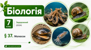 Молюски. Презентація, інфографіка, робочий аркуш