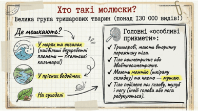 09025sor-df02-386x217.png