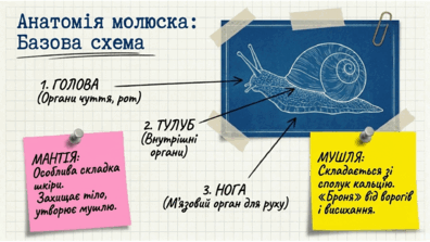09025sot-3d94-396x223.png