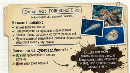 09025soy-e0f6-418x235.png