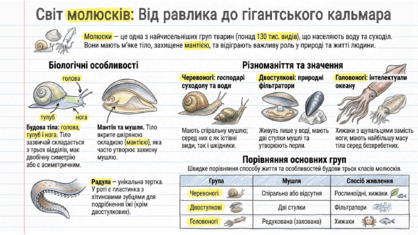 09025sp3-2dcd-418x235.png