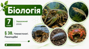 Членистоногі. Ракоподібні. Презентація, інфографіка, робочий аркуш