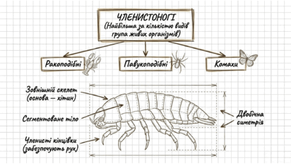 09025thg-4a28-412x232.png