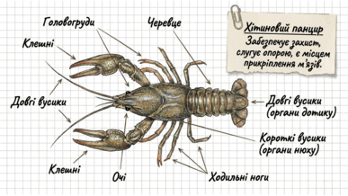 09025thi-164f-387x218.png