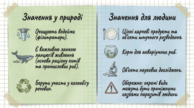 09025thn-03d7-385x216.png