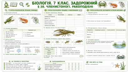 09025thw-94c9-410x231.png