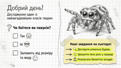 09025tip-c518-394x221.png