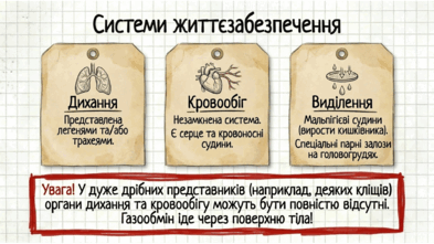 09025tiy-26db-393x221.png