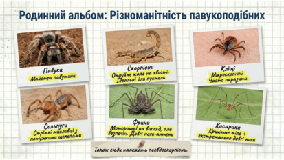 09025tj3-52f0-413x232.png