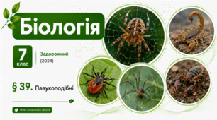 Павукоподібні. Презентація, інфографіка, робочий аркуш