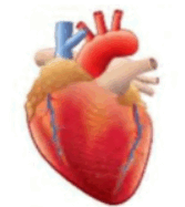 09025tta-9098-167x187.png