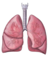 09025ttb-4cf3-169x200.png