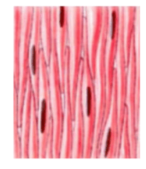 09025tvh-e3ca-205x237.png