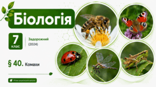 Комахи. Презентація, інфографіка, робочий аркуш