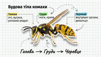 09025ubx-15be-412x232.png