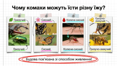 09025uc5-8a95-406x229.png