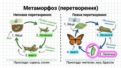 09025uc7-be86-406x229.png