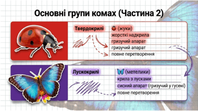 09025ucb-c17b-406x228.png