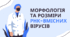 Морфологія та розміри РНК-вмісних вірусів