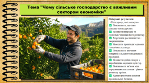 Чому сільське господарство є важливим сектором економіки. Географія. 9 клас. НУШ (2026). До підручника Гільберг Т., Довгань А.