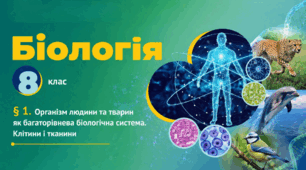 Організм людини та тварин як багаторівнева біологічна система. Клітини і тканини. Презентація, інфографіка, робочий аркуш