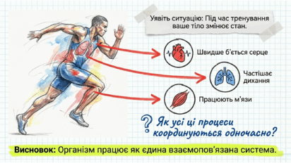 09025x6c-95a7-412x232.png
