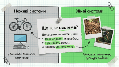09025x6m-7884-394x222.png