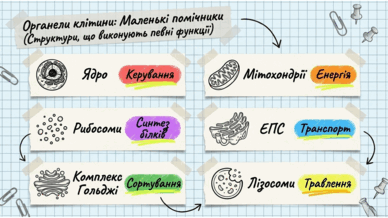 09025x6t-e00b-388x218.png
