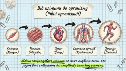 09025x6u-56e1-415x234.png