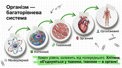 09025x80-5b3a-417x235.png