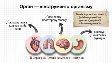 09025x83-79ca-382x215.png