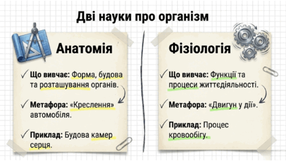 09025x85-d2f6-415x234.png