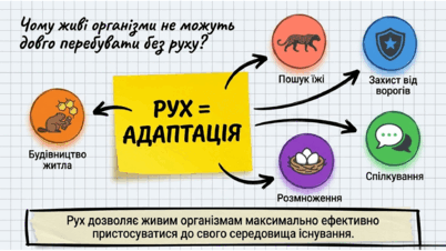 09025xkd-2249-402x226.png