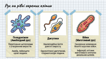 09025xke-928d-404x228.png