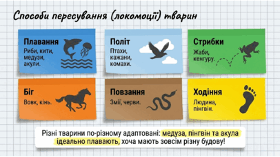 09025xki-9691-406x229.png