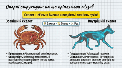 09025xkj-a8db-404x227.png