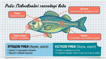 09025xkl-f9e4-407x229.png