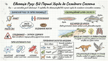 09025xl3-b731-412x232.png