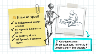 09025xm9-11c6-389x219.png