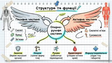 09025xme-3914-392x221.png